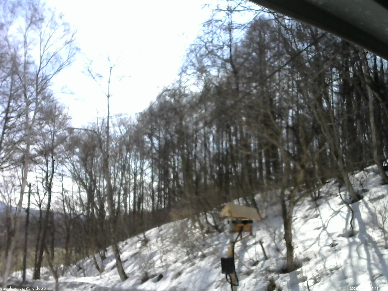 長野県菅平高原 ゆたか山荘 温度計 2026/03/20 09:45