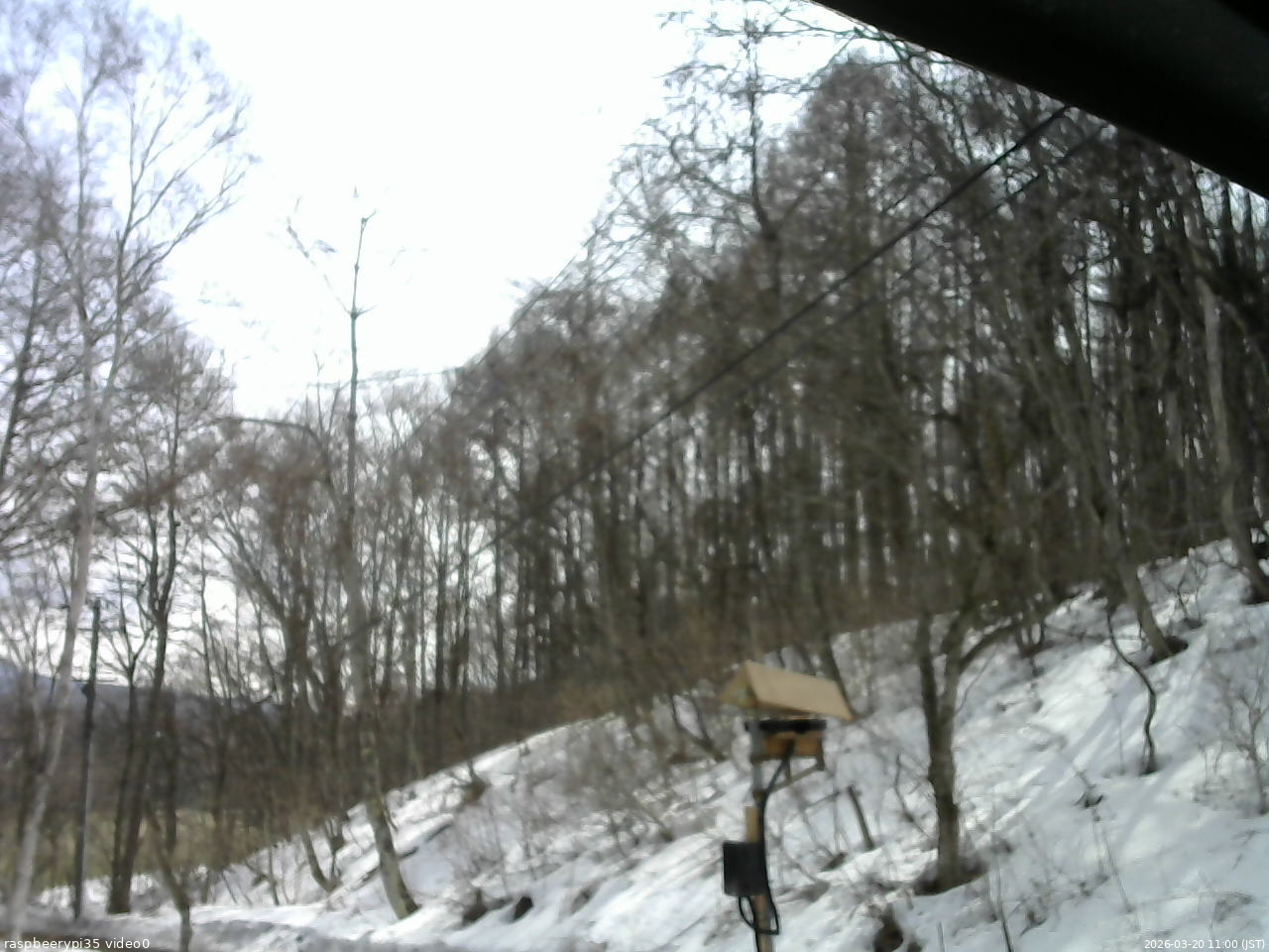 長野県菅平高原 ゆたか山荘 温度計 2026/03/20 11:00