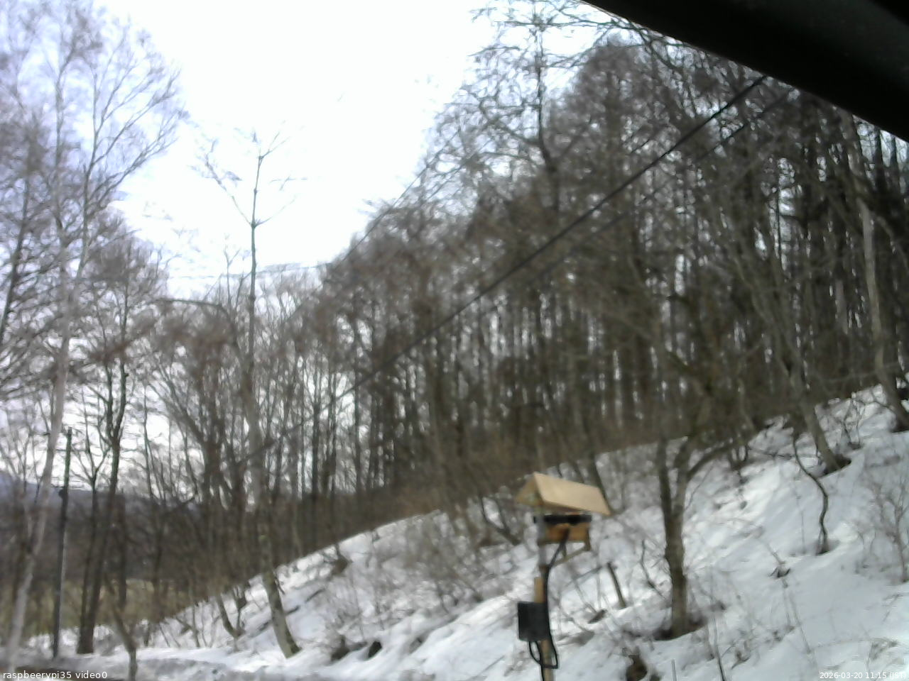 長野県菅平高原 ゆたか山荘 温度計 2026/03/20 11:15