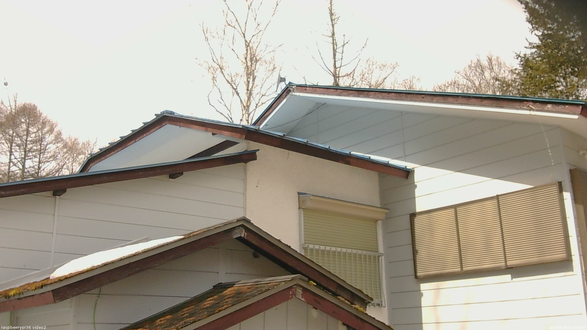 長野県菅平高原 ゆたか山荘 駐車場奥 2026/03/20 11:45