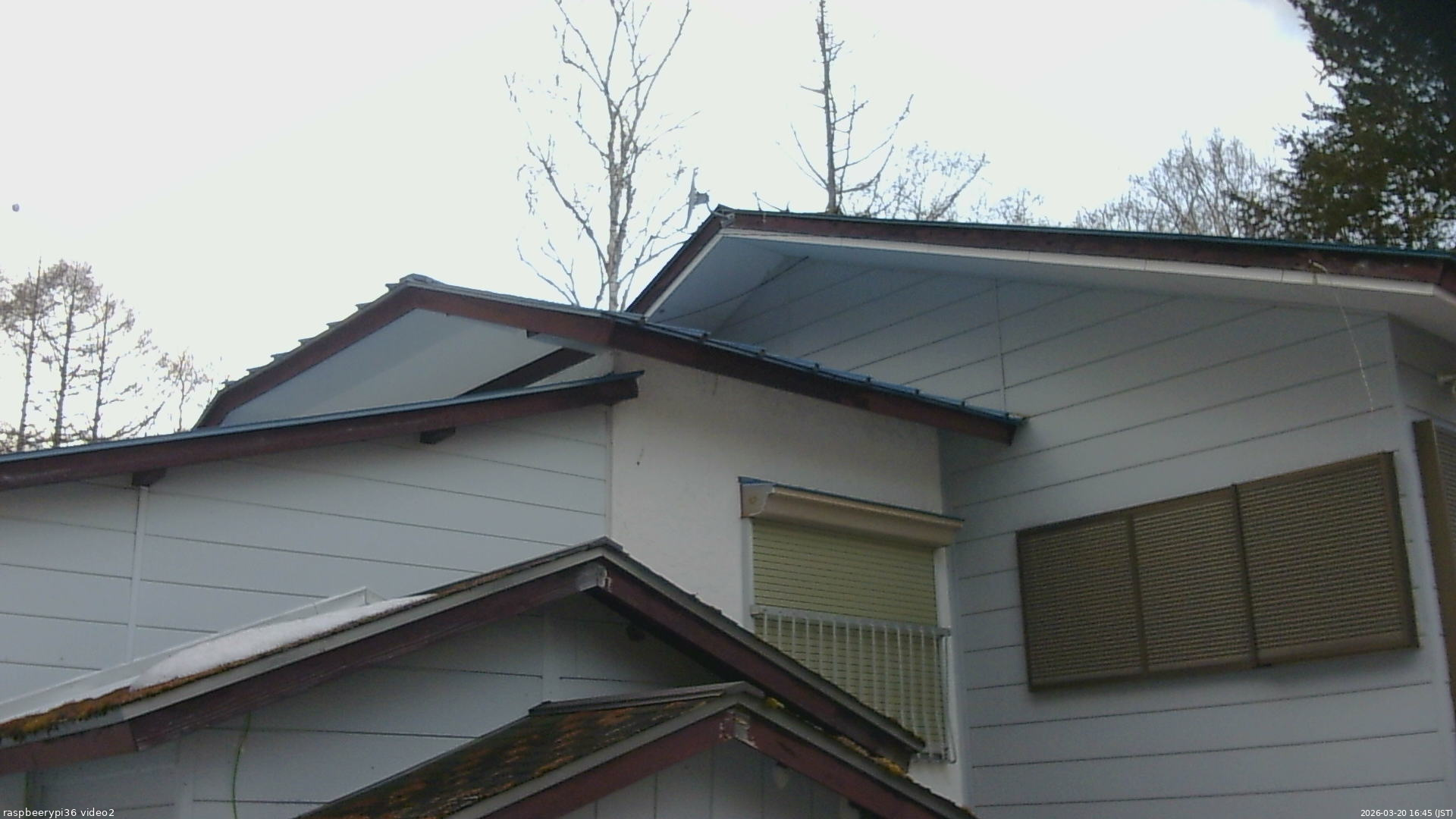 長野県菅平高原 ゆたか山荘 駐車場奥 2026/03/20 16:45