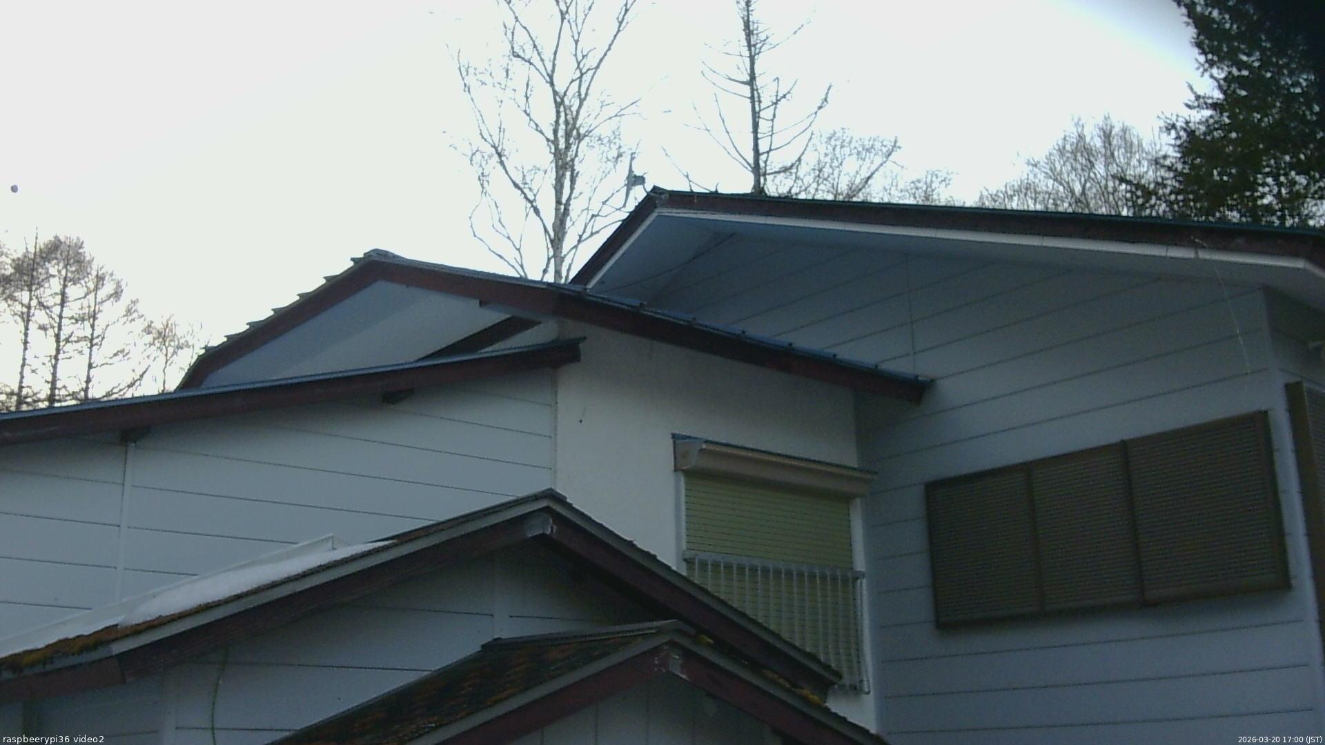 長野県菅平高原 ゆたか山荘 駐車場奥 2026/03/20 17:00