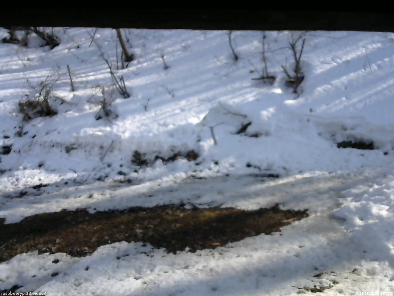 長野県菅平高原 ゆたか山荘 東側(坂下) 2026/03/21 15:45