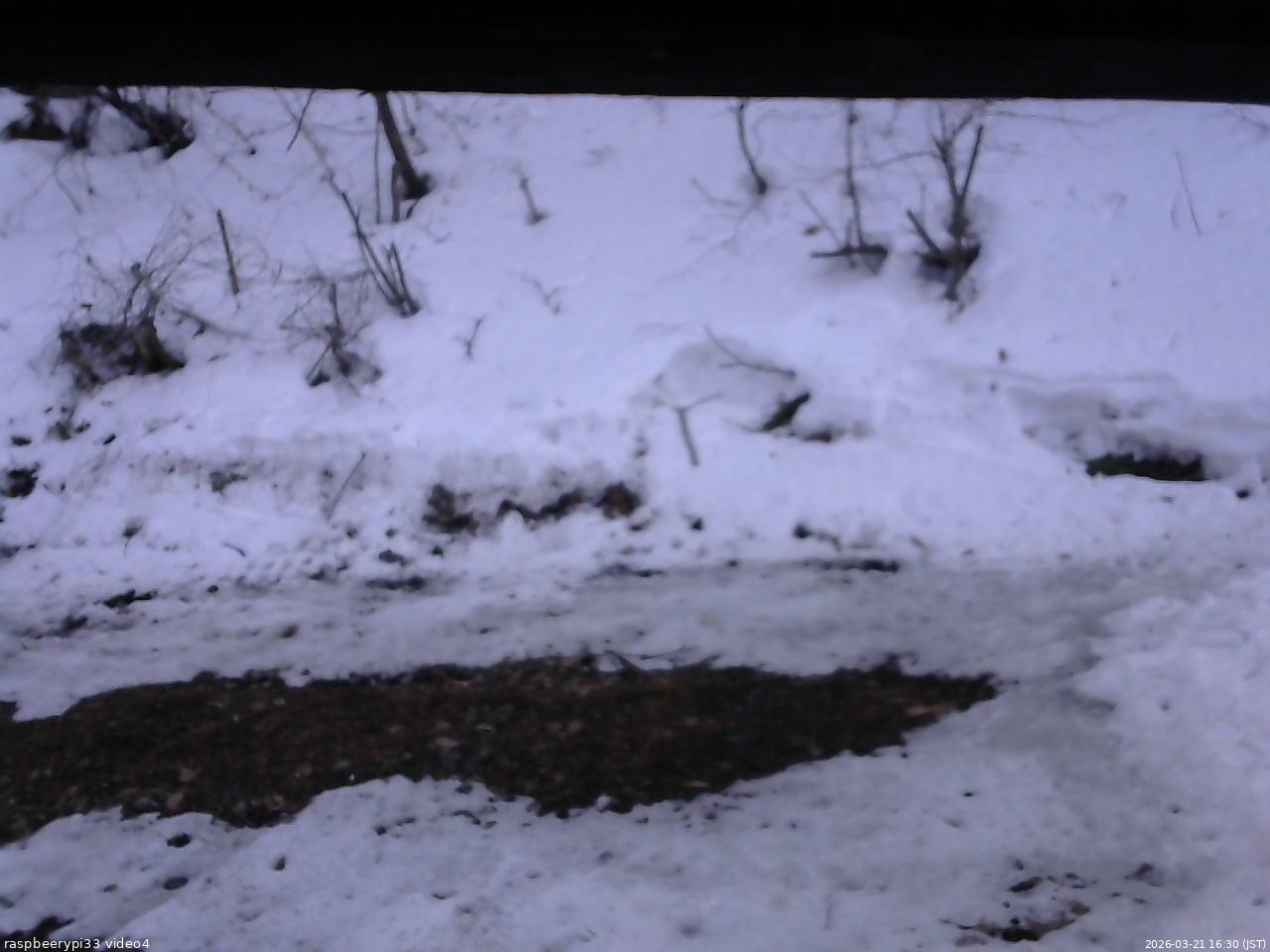 長野県菅平高原 ゆたか山荘 東側(坂下) 2026/03/21 16:30