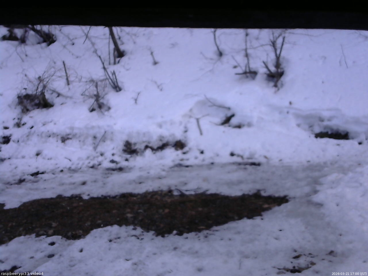 長野県菅平高原 ゆたか山荘 東側(坂下) 2026/03/21 17:00