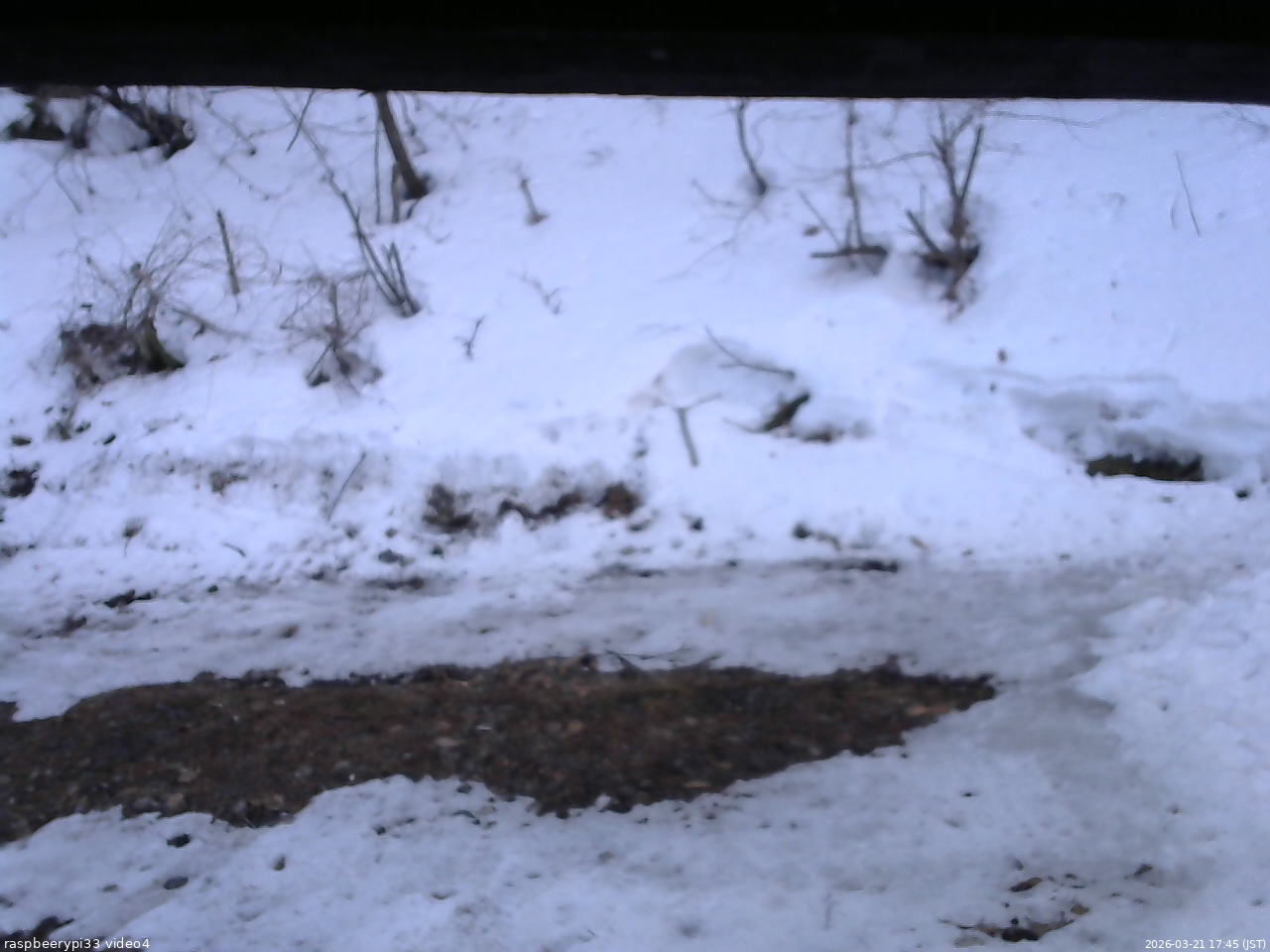 長野県菅平高原 ゆたか山荘 東側(坂下) 2026/03/21 17:45