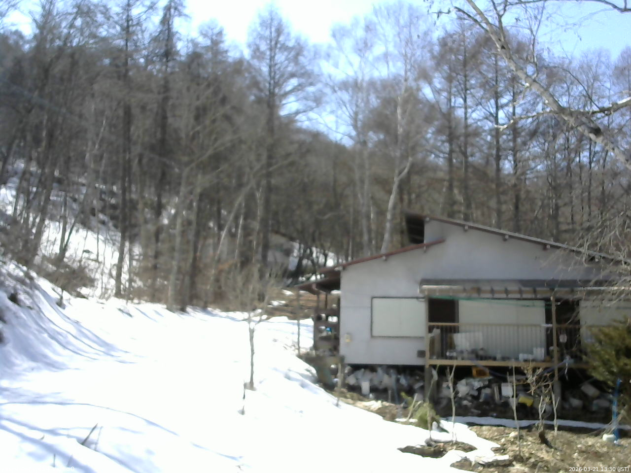 長野県菅平高原 ゆたか山荘 西側(坂上) 2026/03/21 13:30