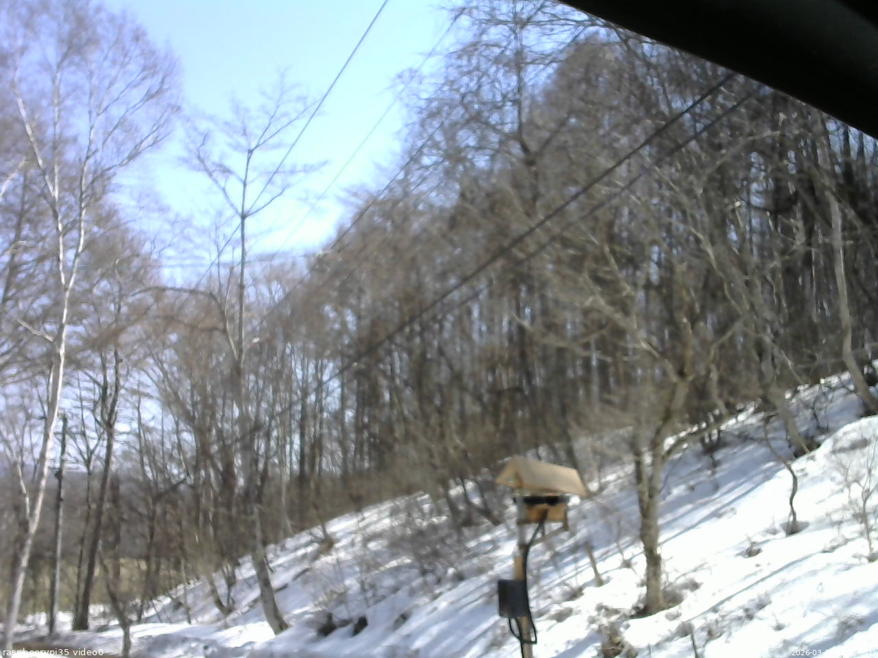 長野県菅平高原 ゆたか山荘 温度計 2026/03/21 12:30