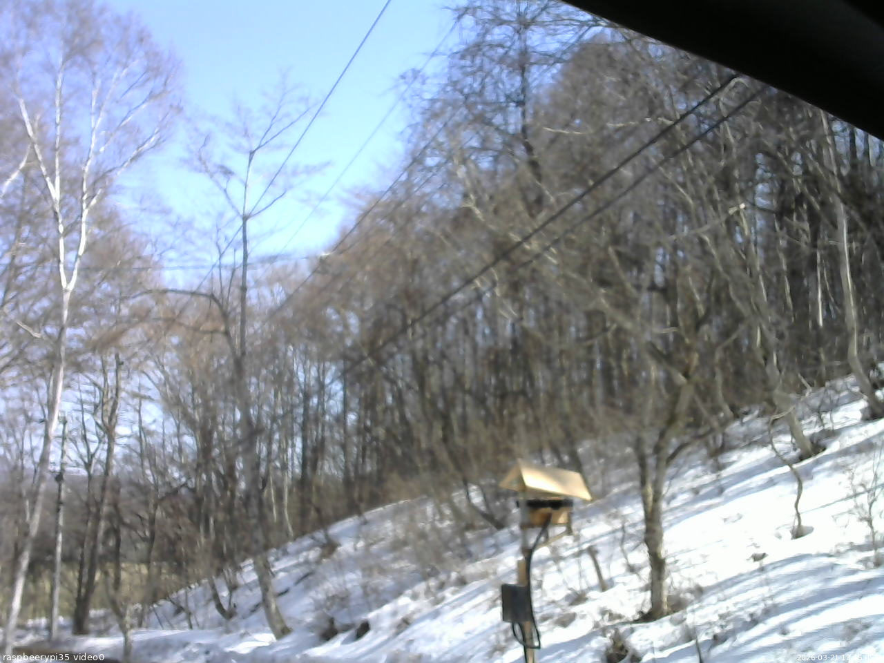 長野県菅平高原 ゆたか山荘 温度計 2026/03/21 13:45