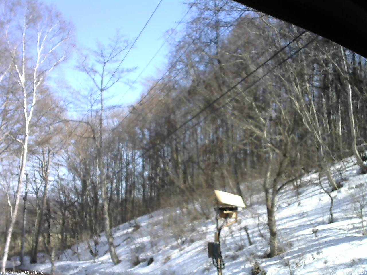 長野県菅平高原 ゆたか山荘 温度計 2026/03/21 14:30