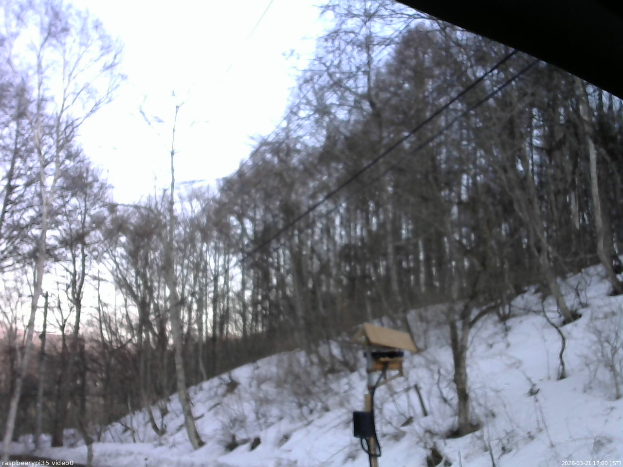 長野県菅平高原 ゆたか山荘 温度計 2026/03/21 17:00