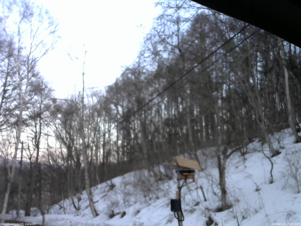 長野県菅平高原 ゆたか山荘 温度計 2026/03/21 17:45