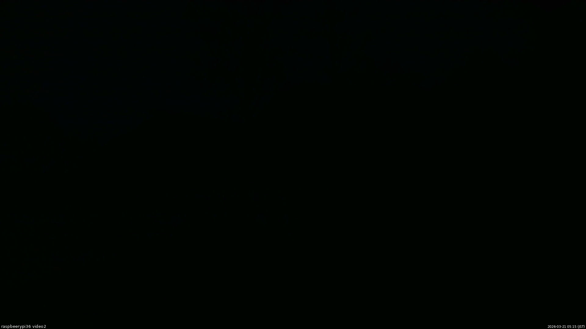 長野県菅平高原 ゆたか山荘 駐車場奥 2026/03/21 05:15
