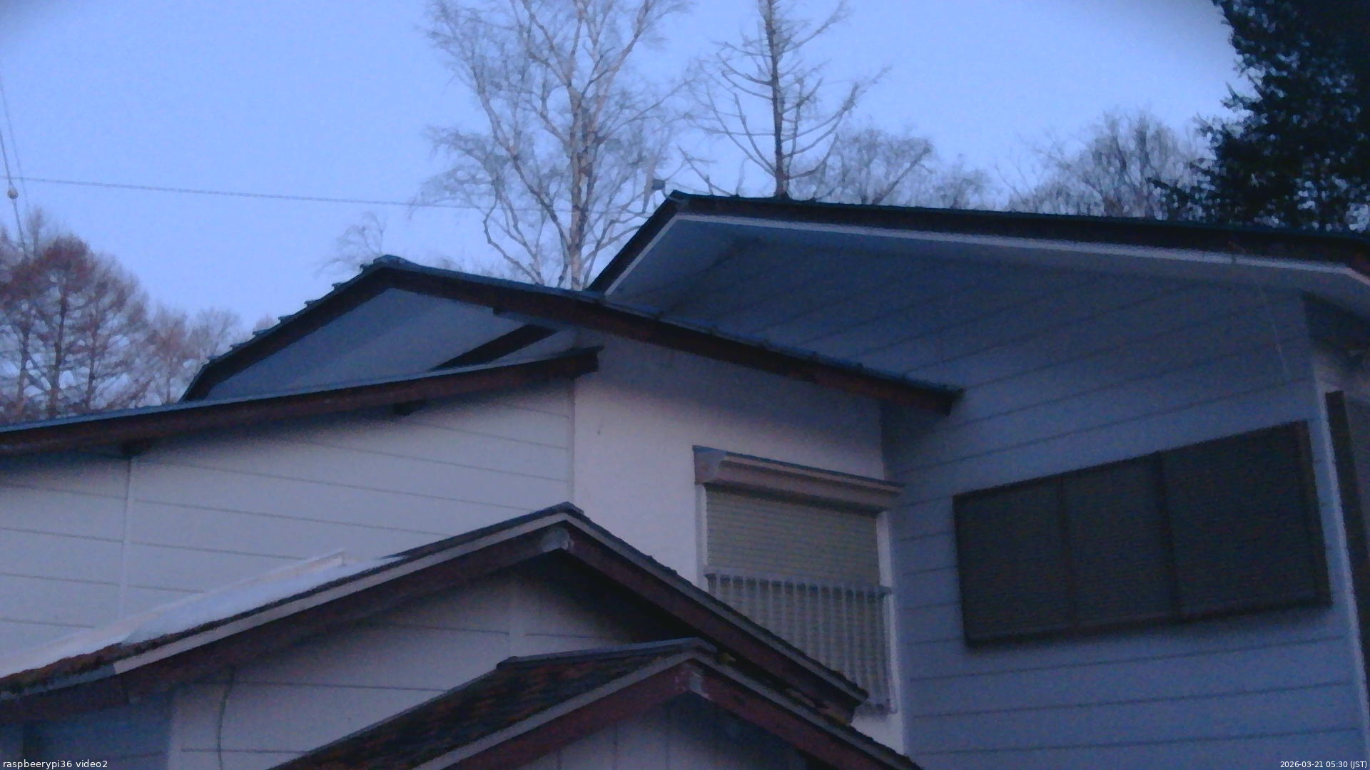 長野県菅平高原 ゆたか山荘 駐車場奥 2026/03/21 05:30