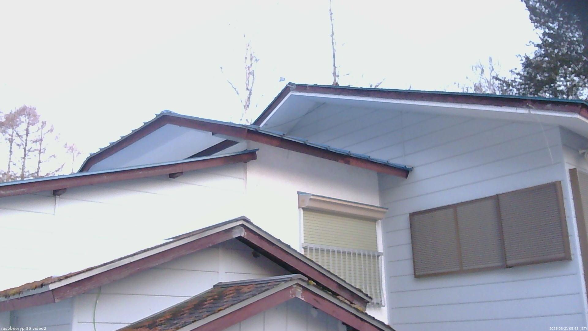 長野県菅平高原 ゆたか山荘 駐車場奥 2026/03/21 05:45