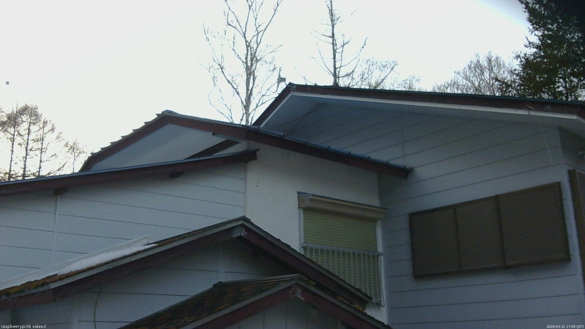 長野県菅平高原 ゆたか山荘 駐車場奥 2026/03/21 17:00