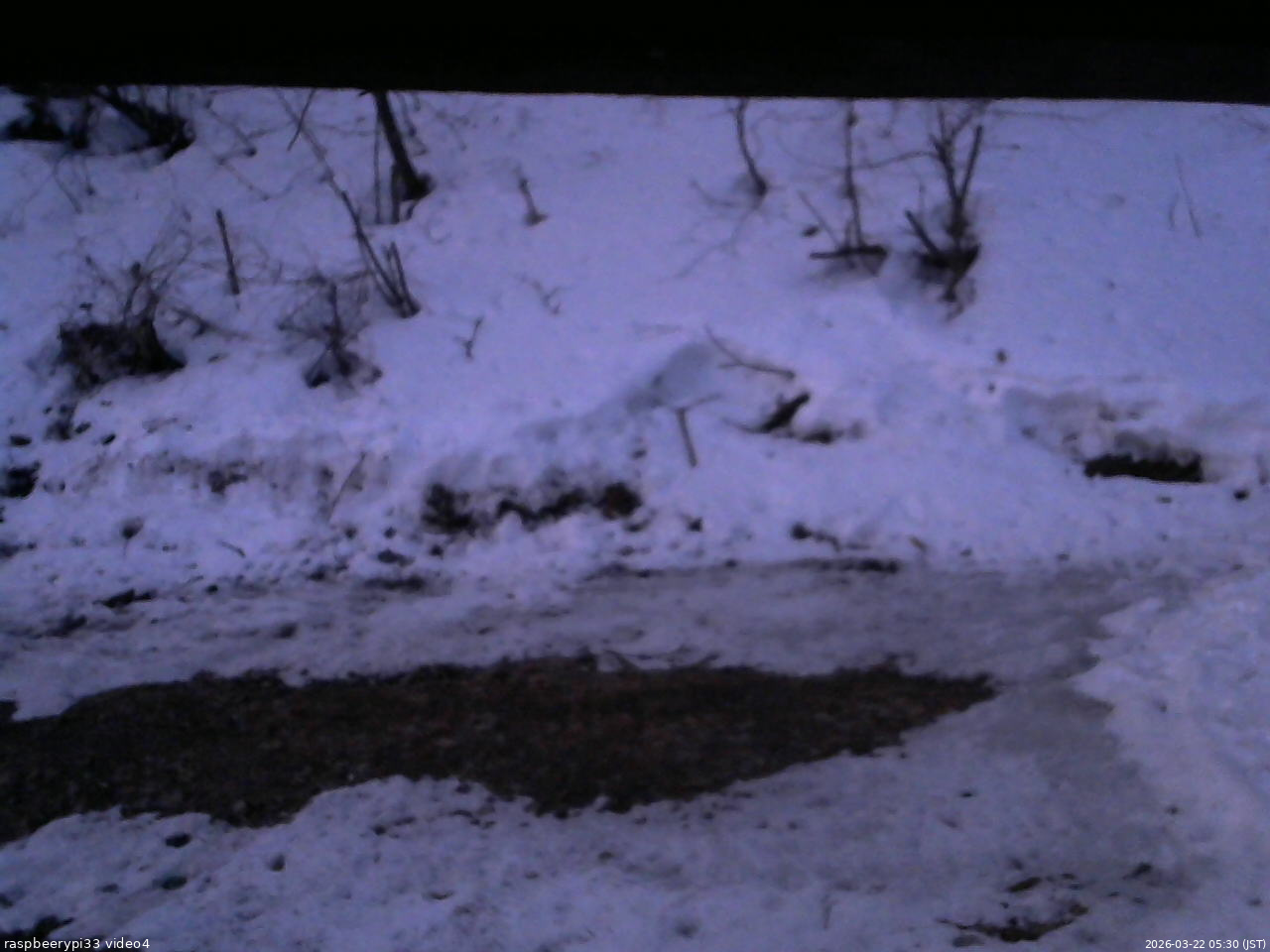長野県菅平高原 ゆたか山荘 東側(坂下) 2026/03/22 05:30