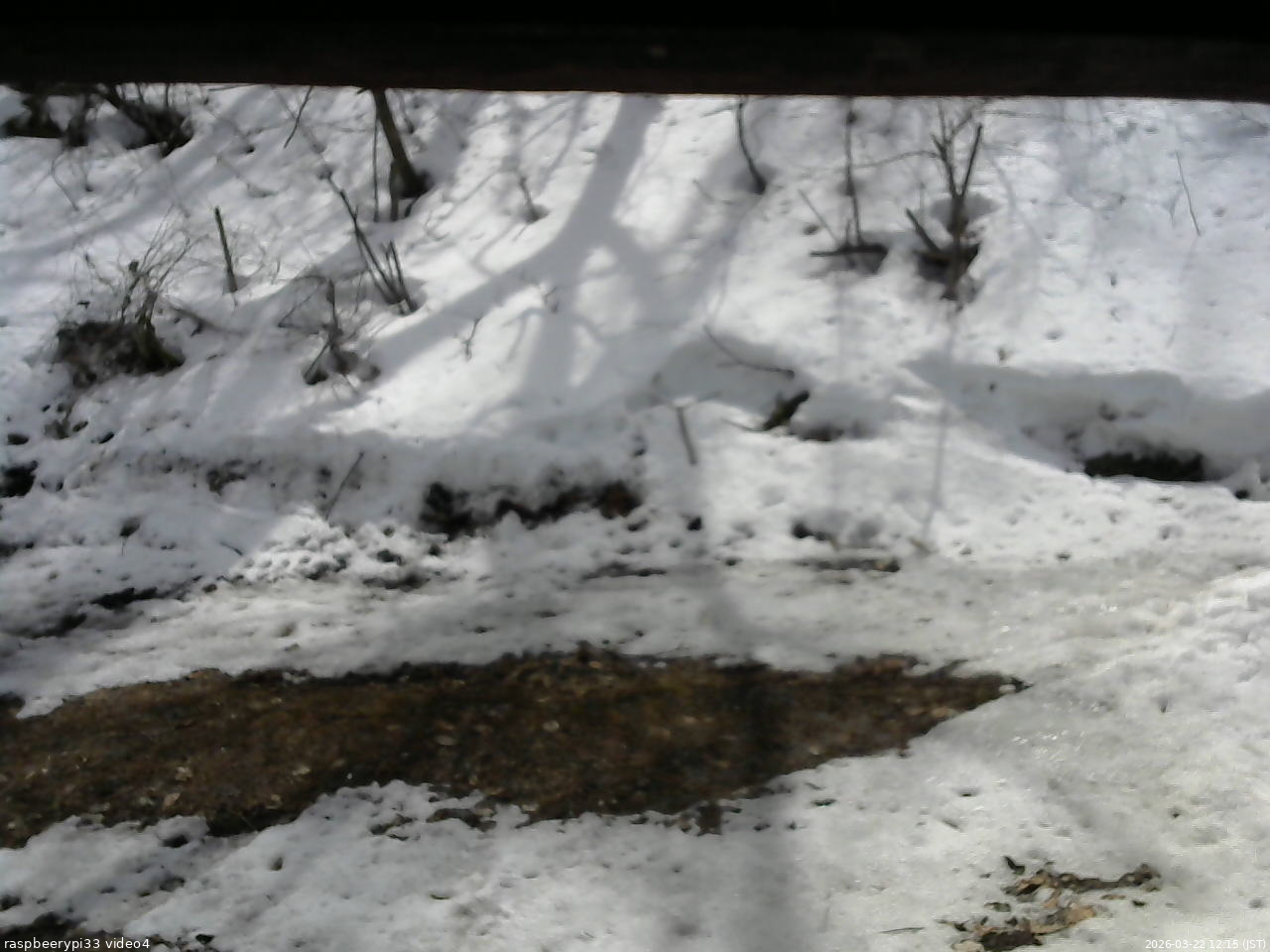 長野県菅平高原 ゆたか山荘 東側(坂下) 2026/03/22 12:15