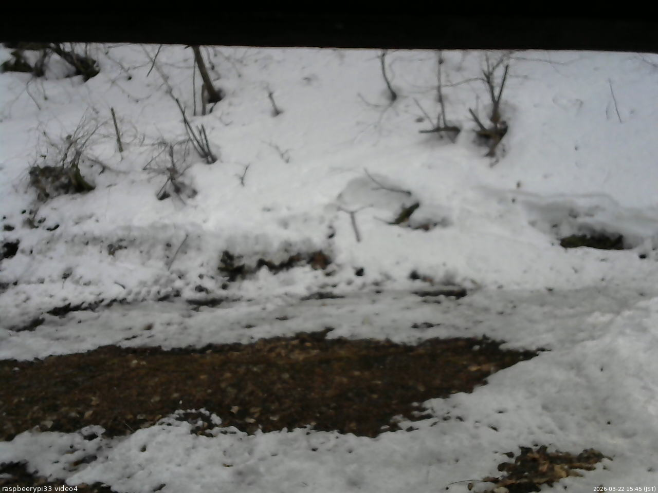 長野県菅平高原 ゆたか山荘 東側(坂下) 2026/03/22 15:45