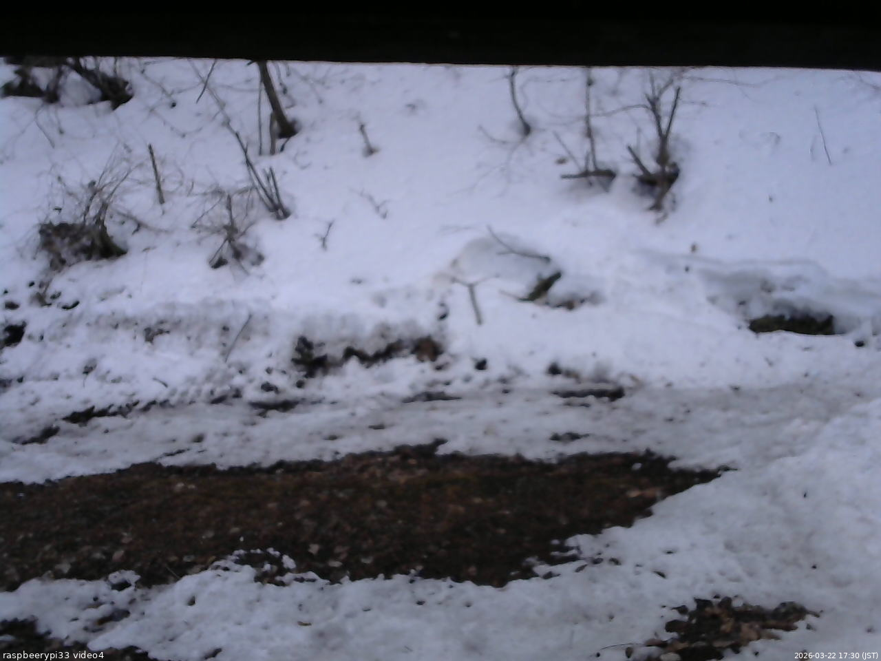 長野県菅平高原 ゆたか山荘 東側(坂下) 2026/03/22 17:30