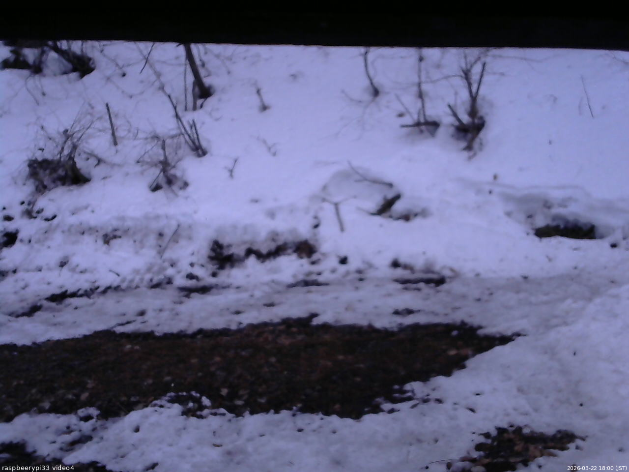 長野県菅平高原 ゆたか山荘 東側(坂下) 2026/03/22 18:00