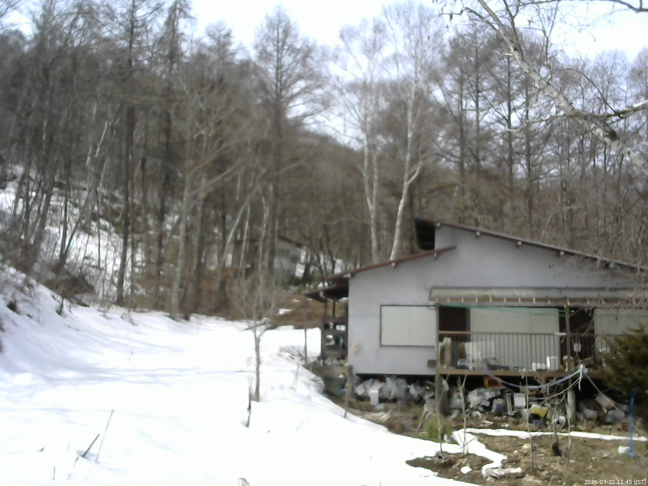 長野県菅平高原 ゆたか山荘 西側(坂上) 2026/03/22 11:45