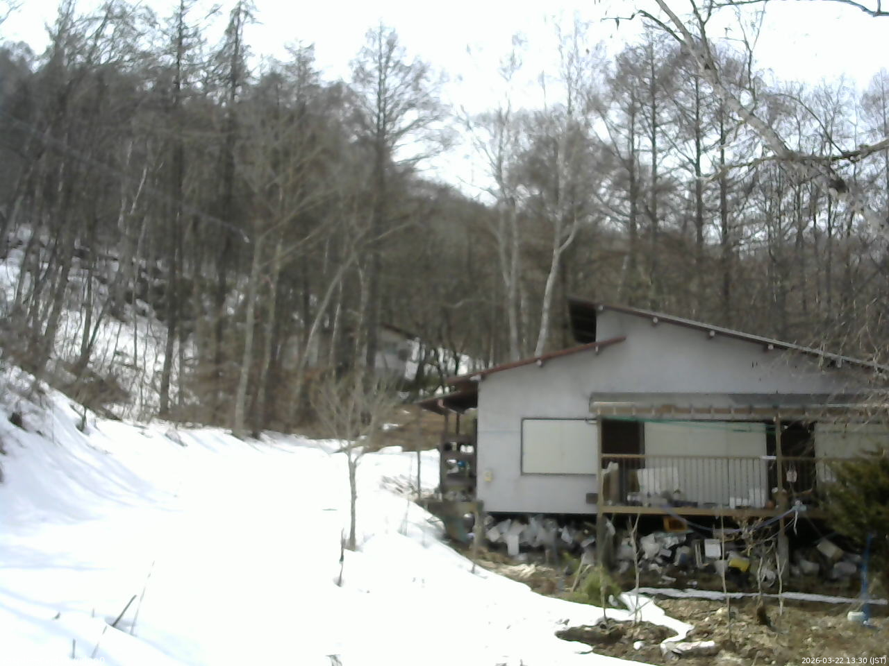 長野県菅平高原 ゆたか山荘 西側(坂上) 2026/03/22 13:30
