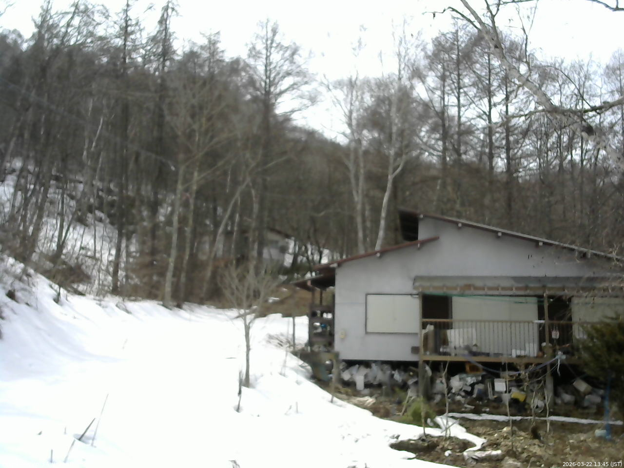 長野県菅平高原 ゆたか山荘 西側(坂上) 2026/03/22 13:45