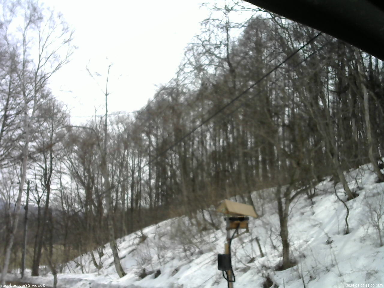 長野県菅平高原 ゆたか山荘 温度計 2026/03/22 11:00