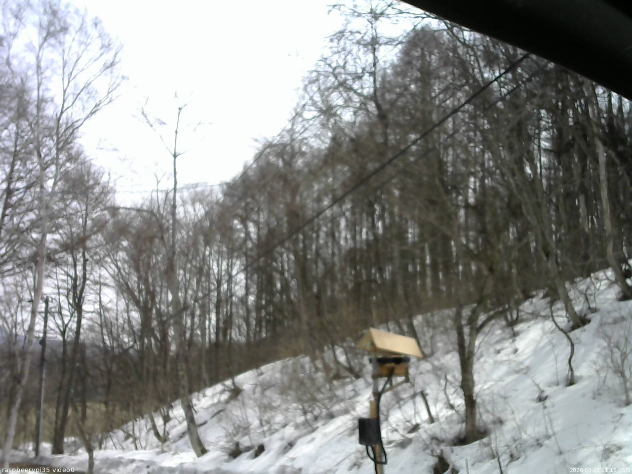 長野県菅平高原 ゆたか山荘 温度計 2026/03/22 11:15
