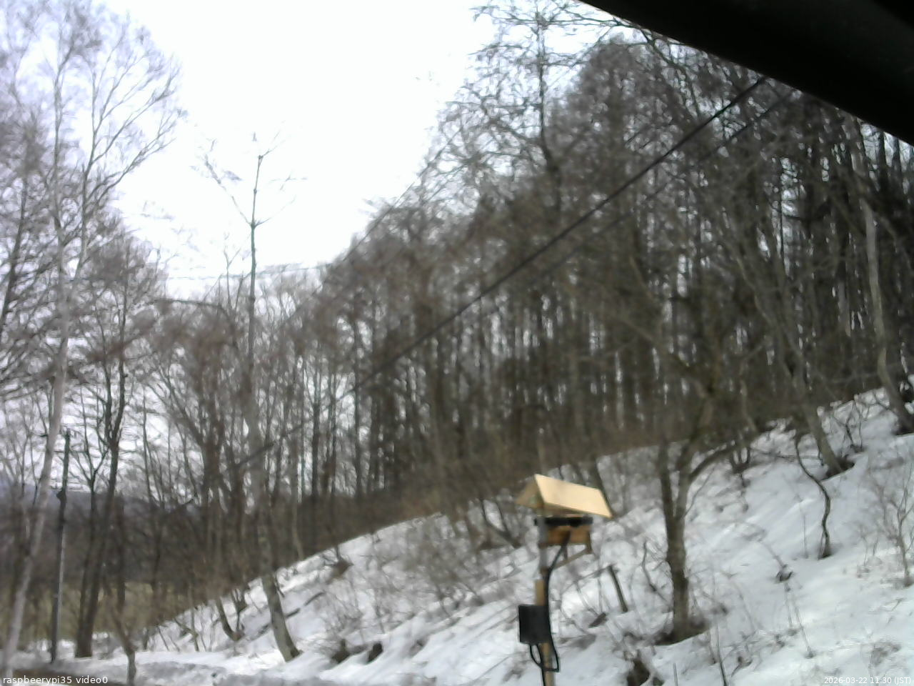 長野県菅平高原 ゆたか山荘 温度計 2026/03/22 11:30