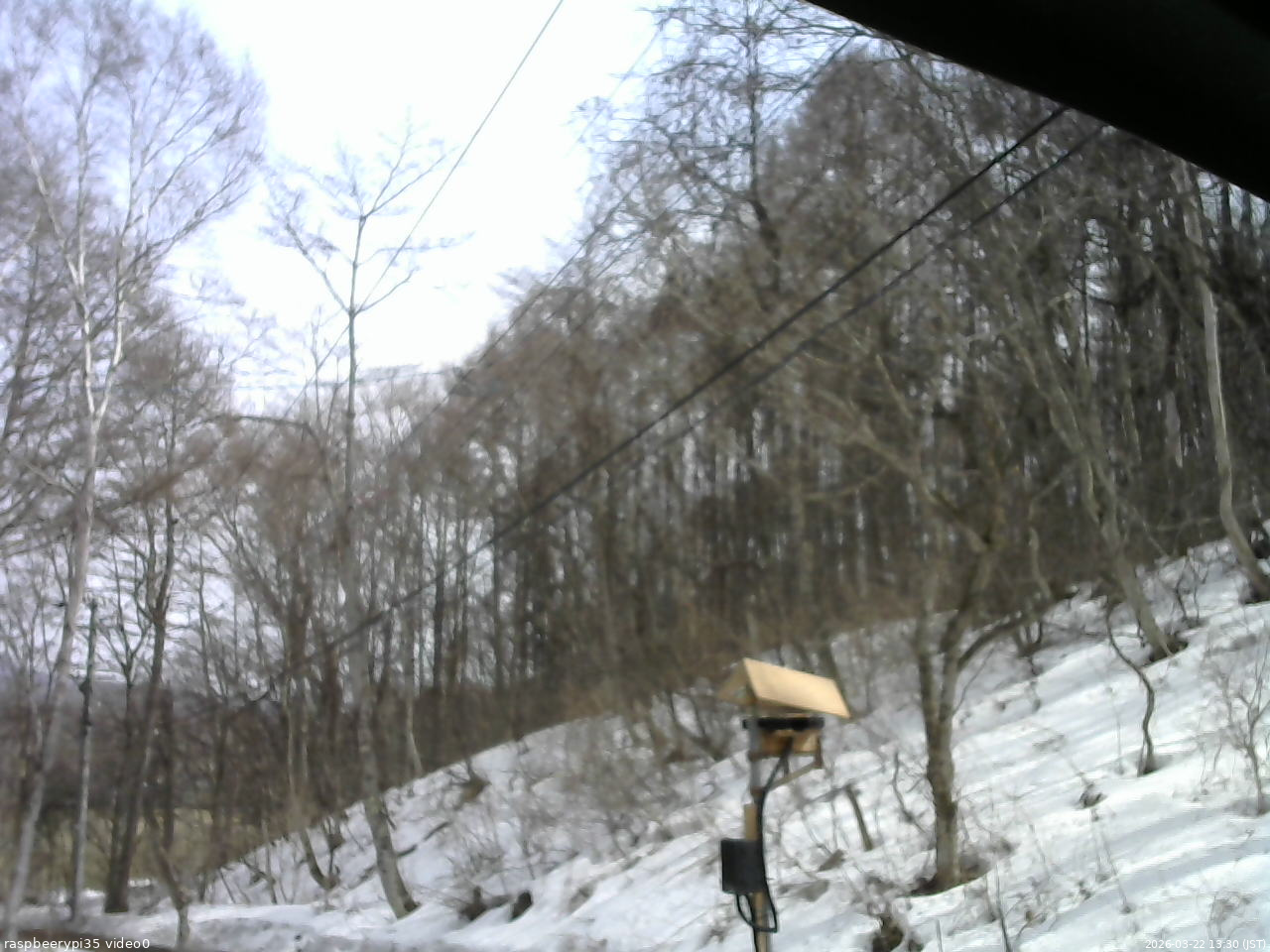 長野県菅平高原 ゆたか山荘 温度計 2026/03/22 13:30