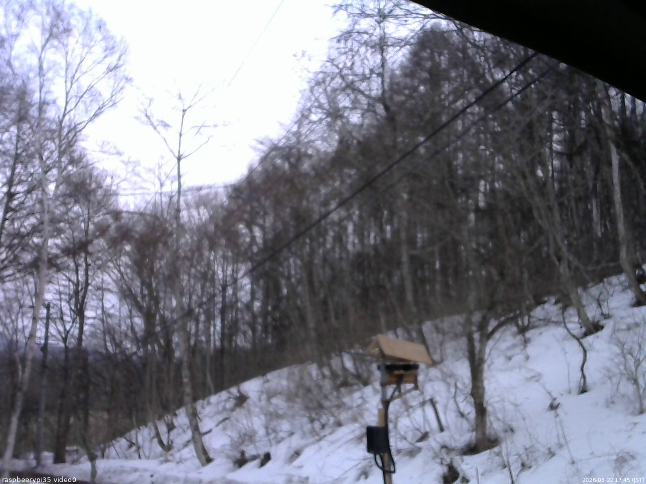 長野県菅平高原 ゆたか山荘 温度計 2026/03/22 17:45