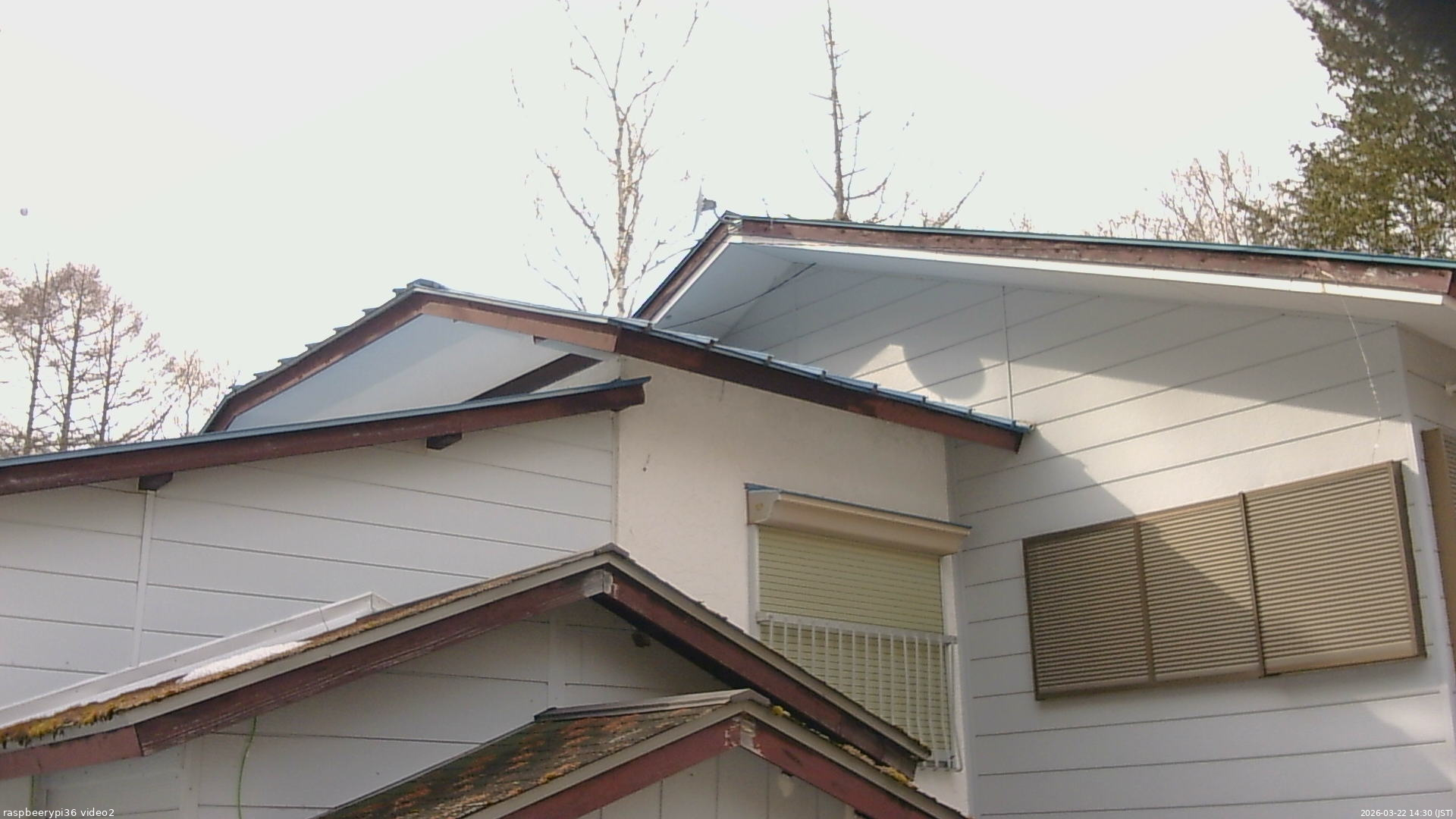 長野県菅平高原 ゆたか山荘 駐車場奥 2026/03/22 14:30