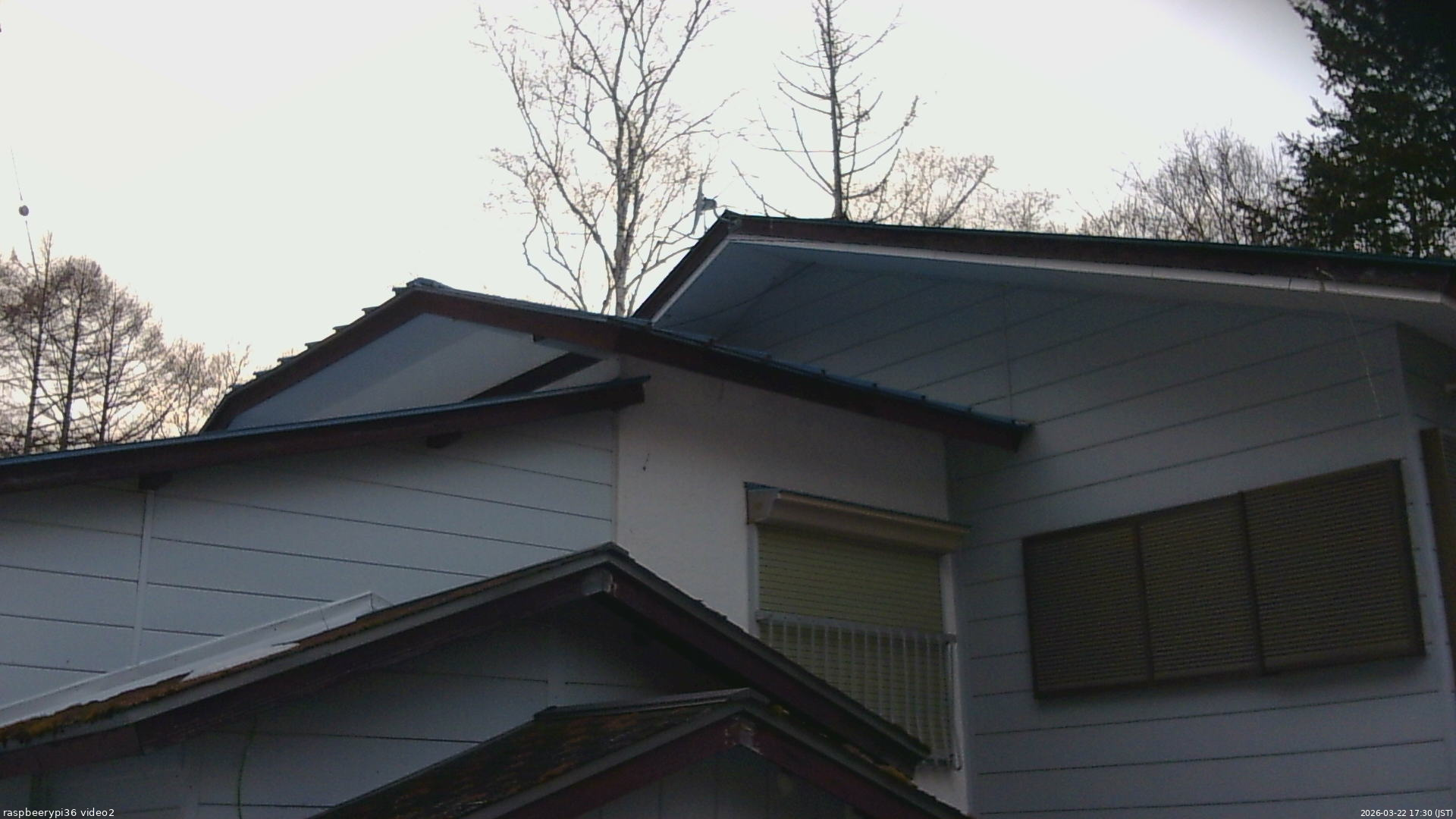 長野県菅平高原 ゆたか山荘 駐車場奥 2026/03/22 17:30