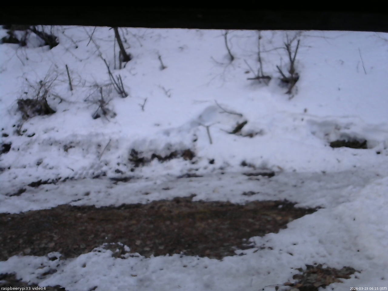 長野県菅平高原 ゆたか山荘 東側(坂下) 2026/03/23 06:15