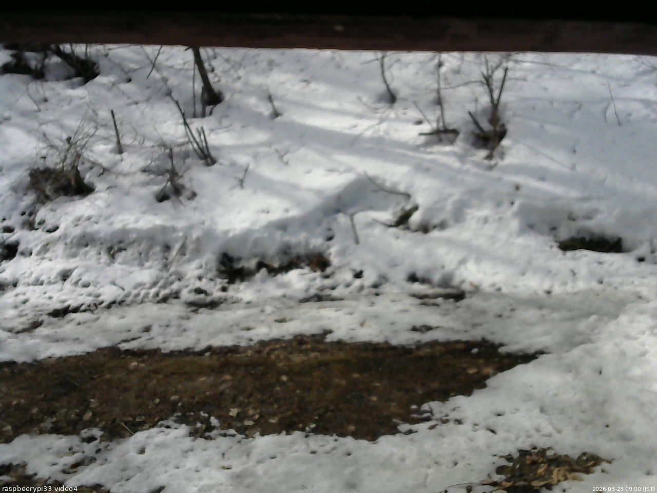 長野県菅平高原 ゆたか山荘 東側(坂下) 2026/03/23 09:00