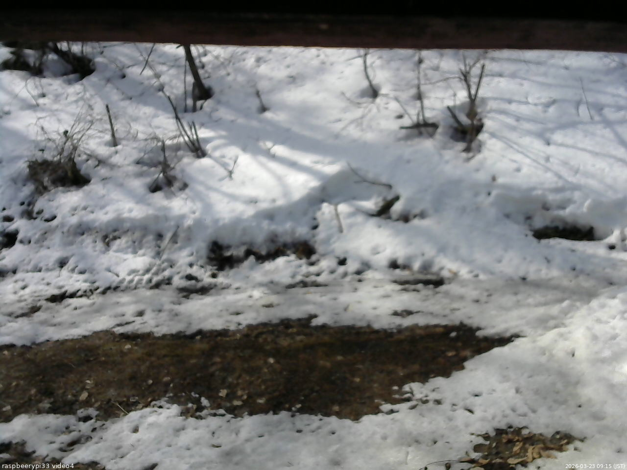 長野県菅平高原 ゆたか山荘 東側(坂下) 2026/03/23 09:15