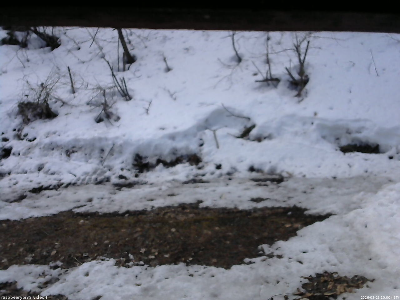 長野県菅平高原 ゆたか山荘 東側(坂下) 2026/03/23 10:00