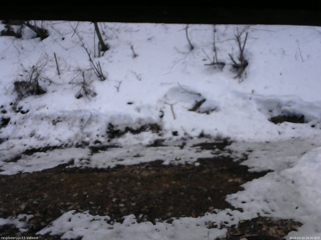 長野県菅平高原 ゆたか山荘 東側(坂下) 2026/03/23 16:30