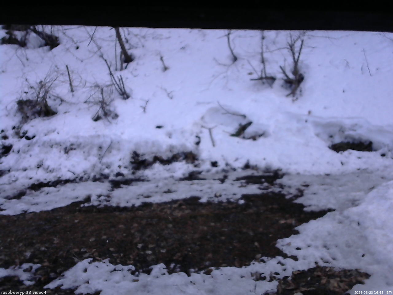 長野県菅平高原 ゆたか山荘 東側(坂下) 2026/03/23 16:45
