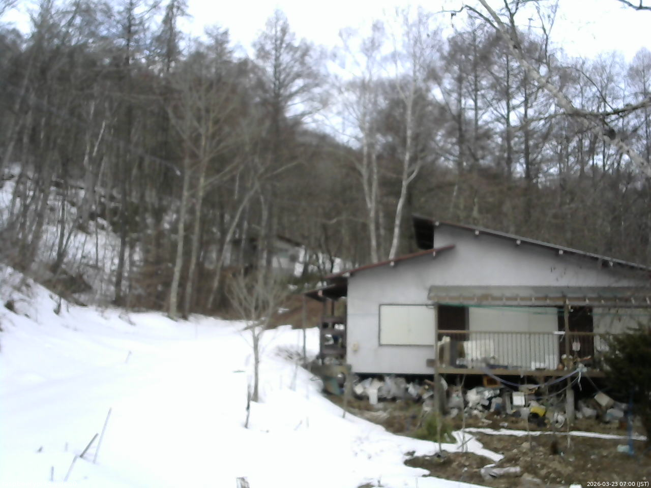 長野県菅平高原 ゆたか山荘 西側(坂上) 2026/03/23 07:00