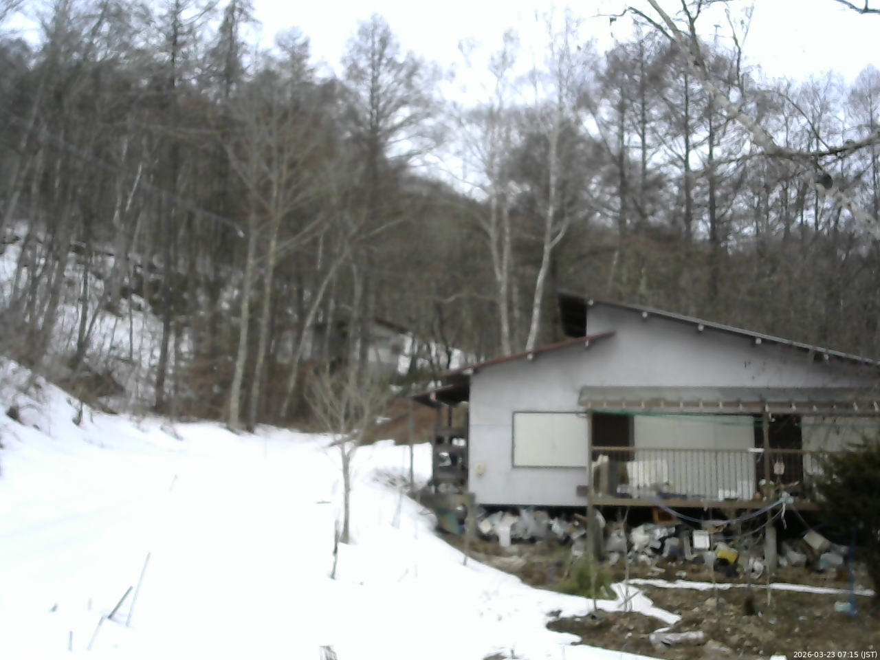 長野県菅平高原 ゆたか山荘 西側(坂上) 2026/03/23 07:15