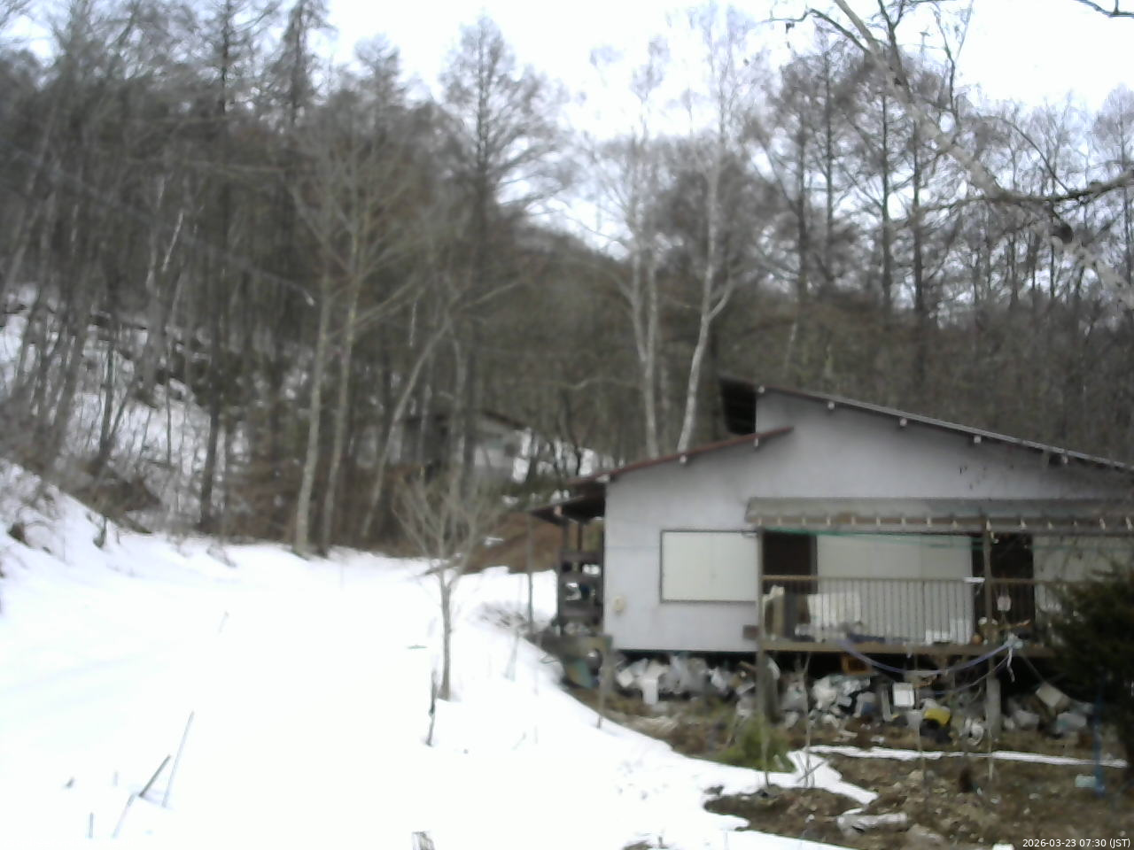 長野県菅平高原 ゆたか山荘 西側(坂上) 2026/03/23 07:30
