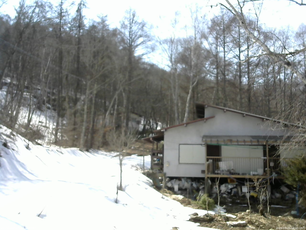 長野県菅平高原 ゆたか山荘 西側(坂上) 2026/03/23 14:00