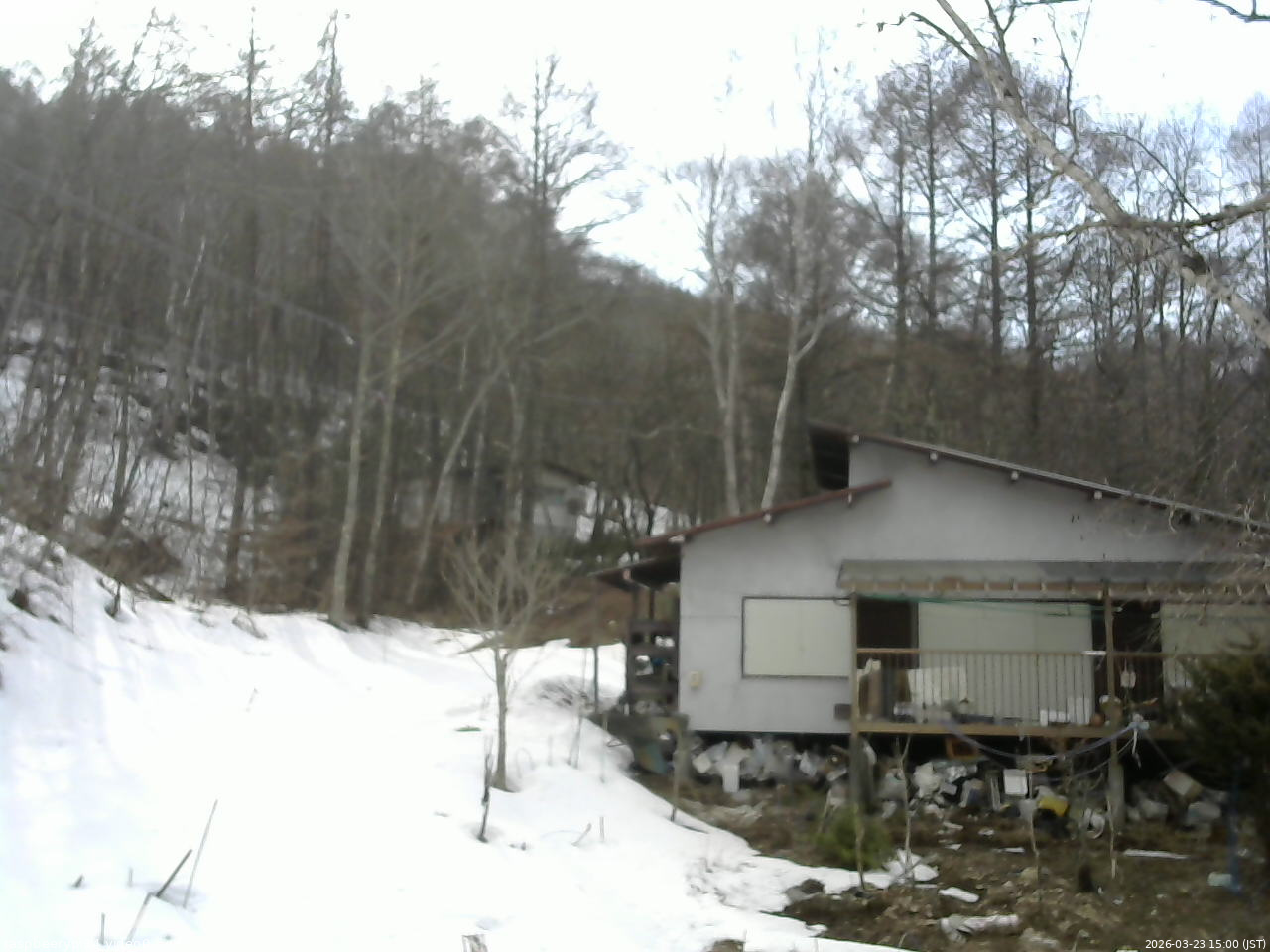 長野県菅平高原 ゆたか山荘 西側(坂上) 2026/03/23 15:00