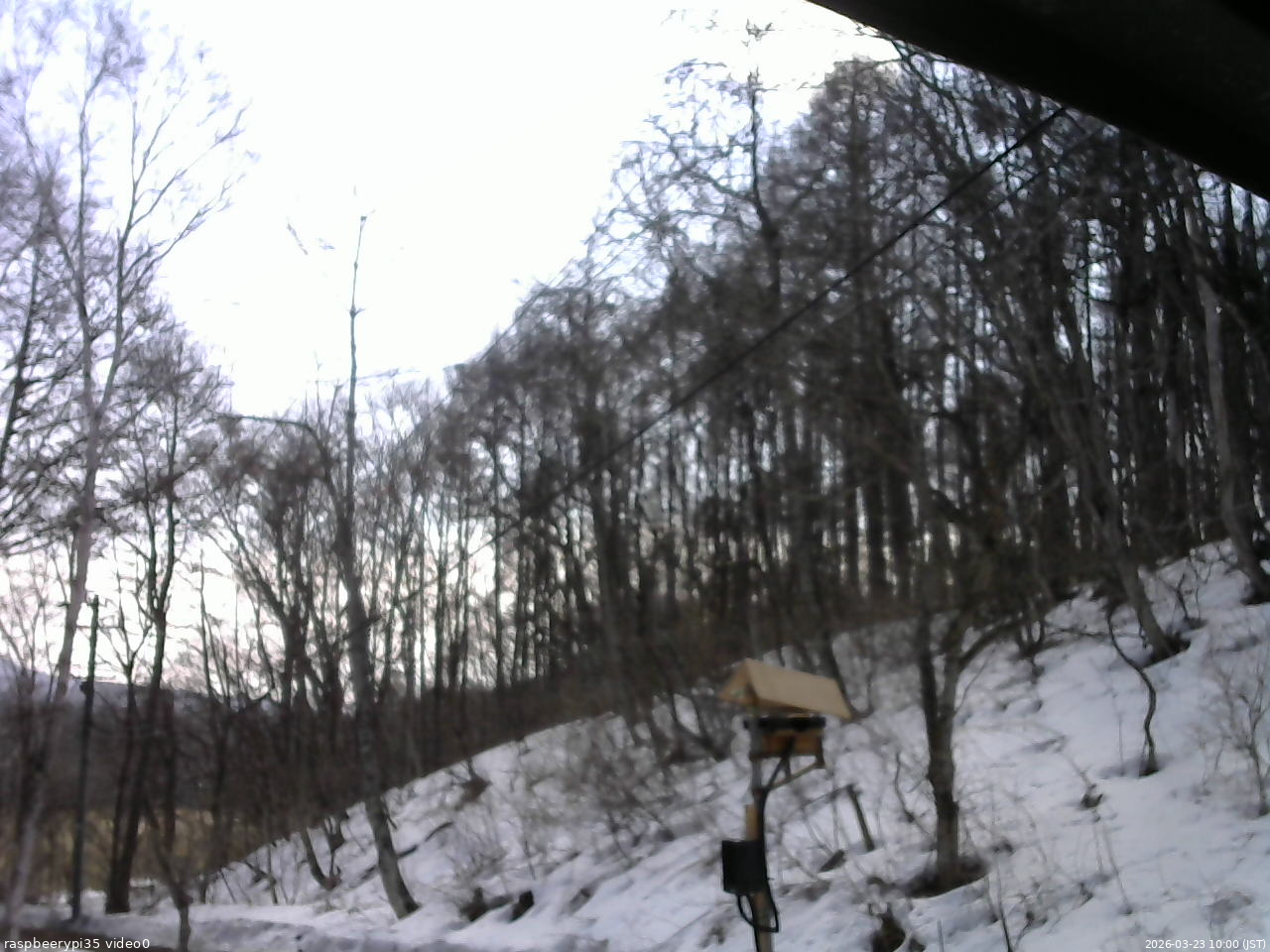長野県菅平高原 ゆたか山荘 温度計 2026/03/23 10:00