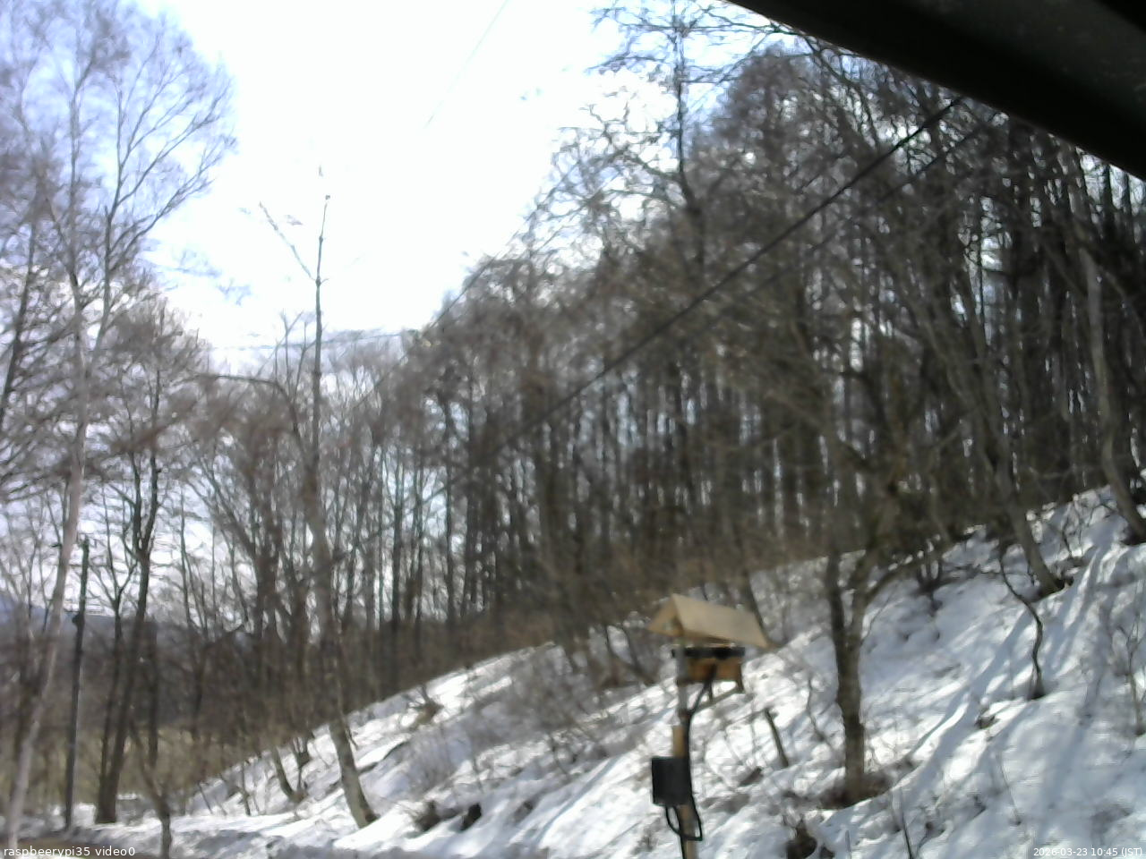 長野県菅平高原 ゆたか山荘 温度計 2026/03/23 10:45