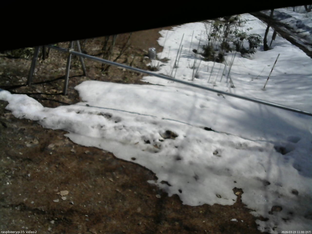 長野県菅平高原 ゆたか山荘 駐車場 2026/03/23 11:00
