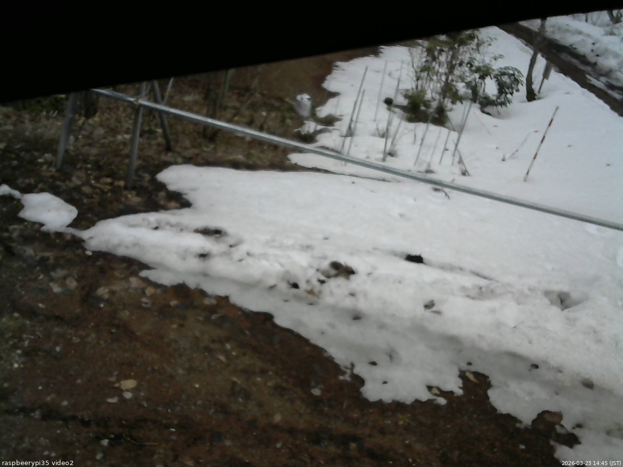 長野県菅平高原 ゆたか山荘 駐車場 2026/03/23 14:45